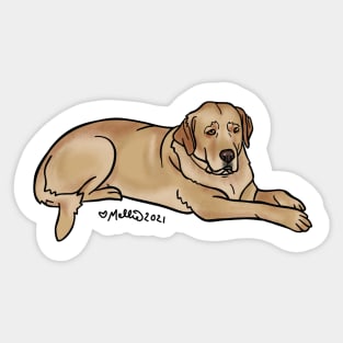 Hachi — Dogs of Redstone, Colorado Sticker